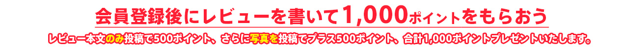 レビューを書いて1000ポイントをもらおう